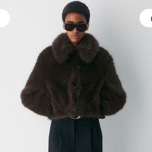 Aritzia Chamonix coat - arctic faux fur size XS rich mocha brown